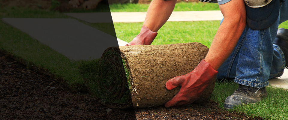 Du Quoin Landscapers